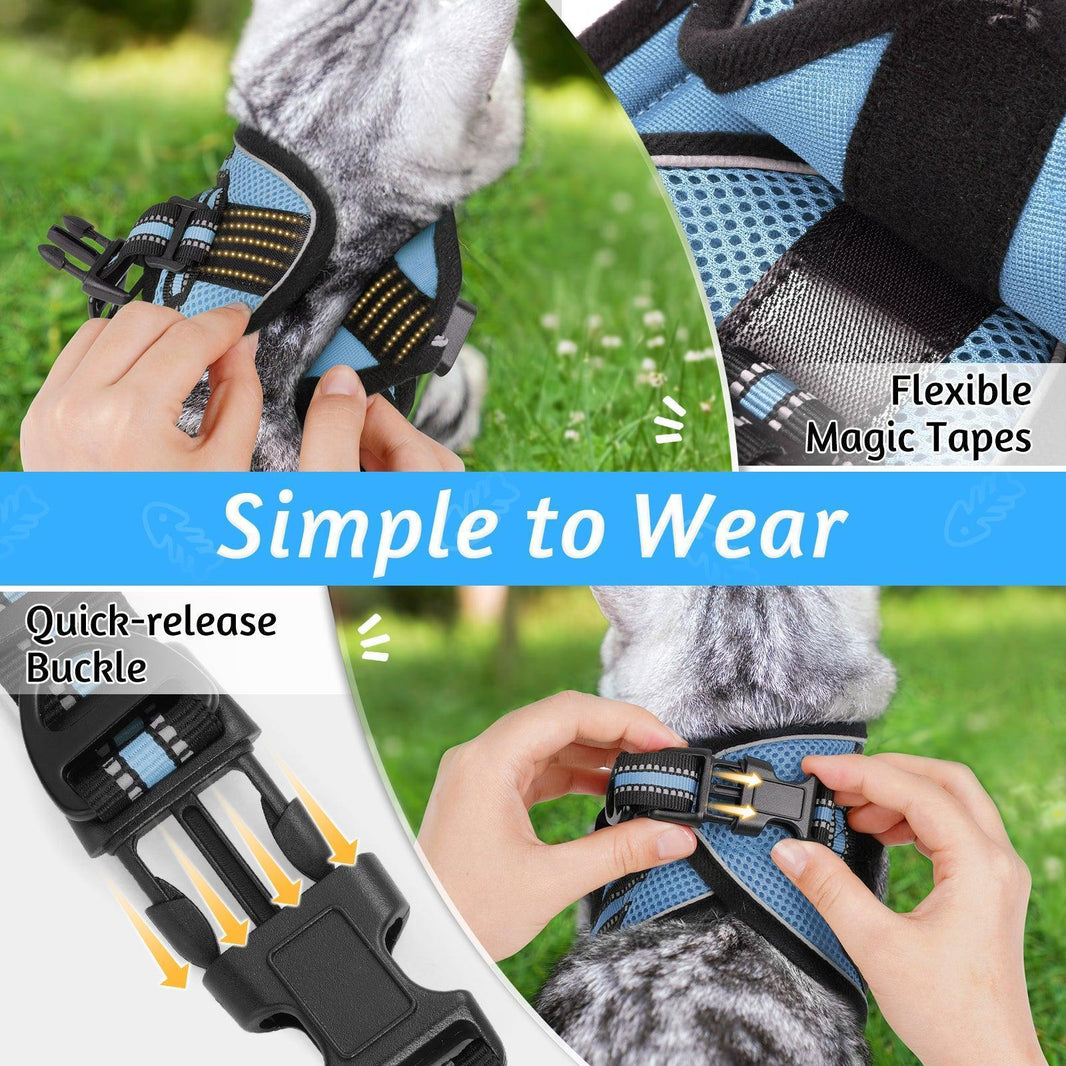 Rabbitgoo Escape Proof Cat Harness and Leash Set - Light Blue