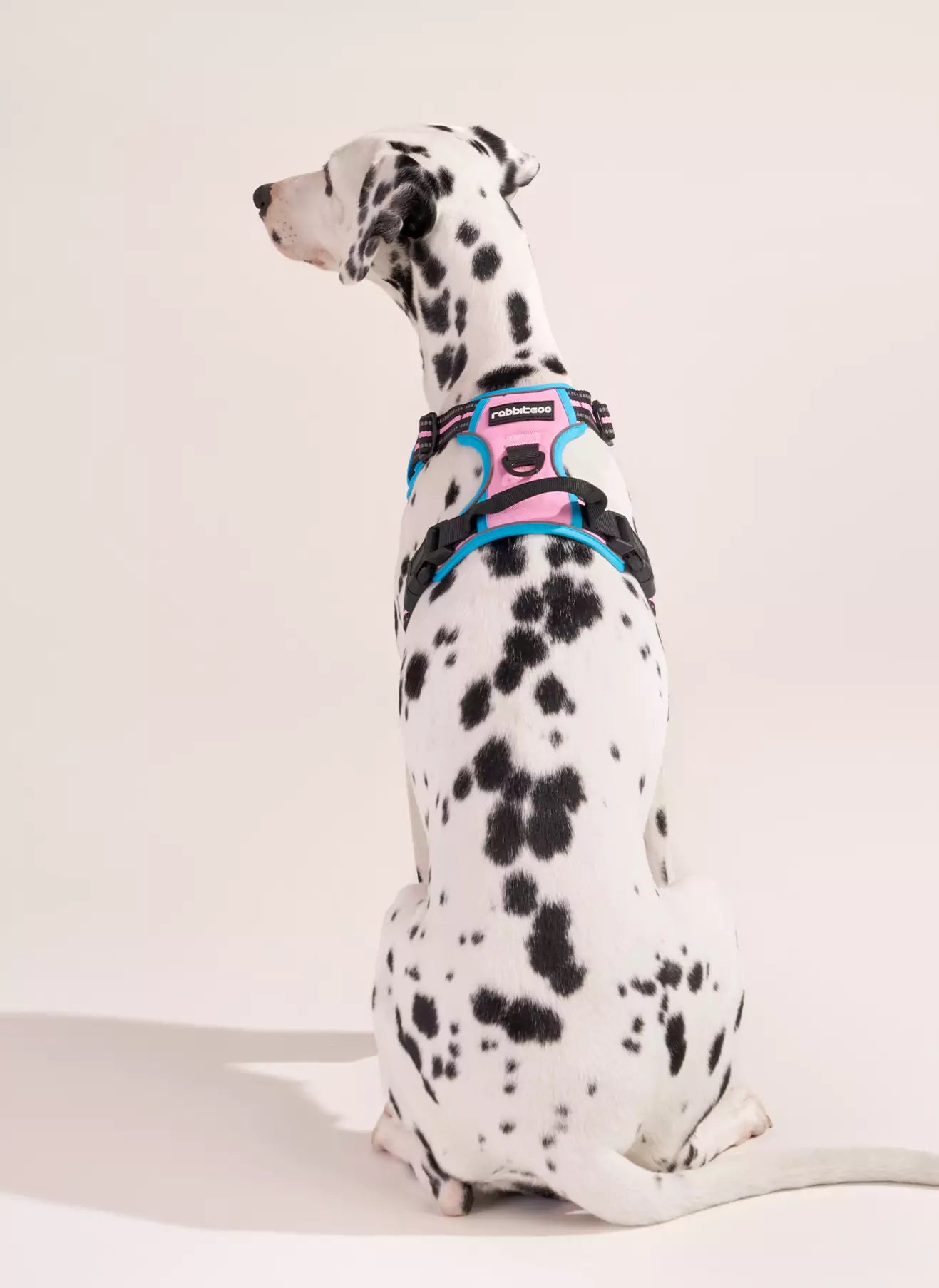ColorPop Fit No Pull Dog Harness - Pink & Blue