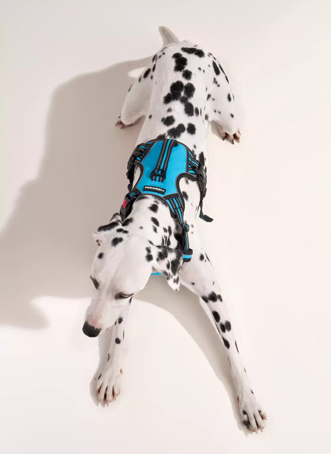 Uplift Pro Adjustable Dog Harness with Neck Buckle - Blue