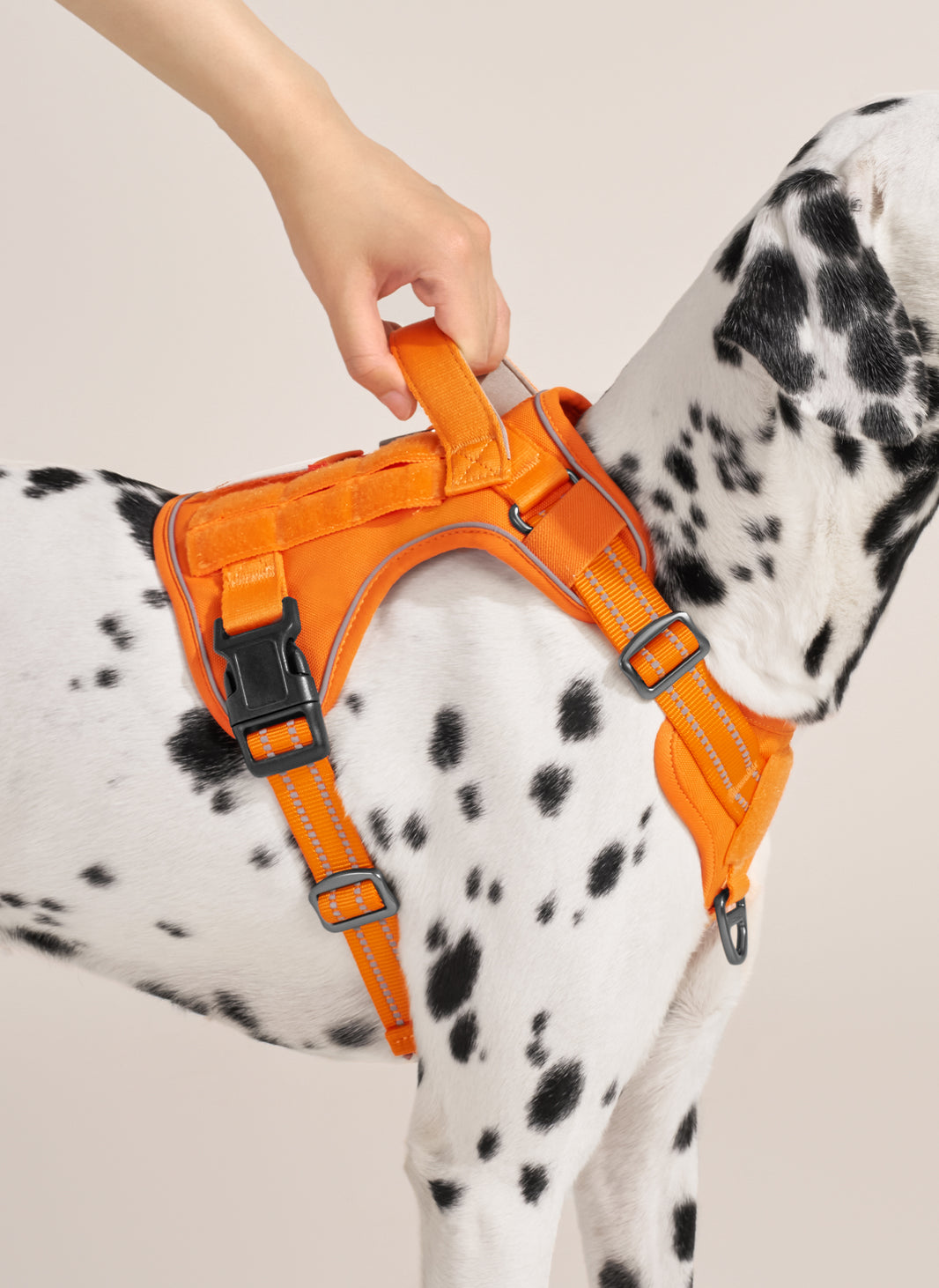 ColorPop Escape Proof Tactical Dog Harness - Orange