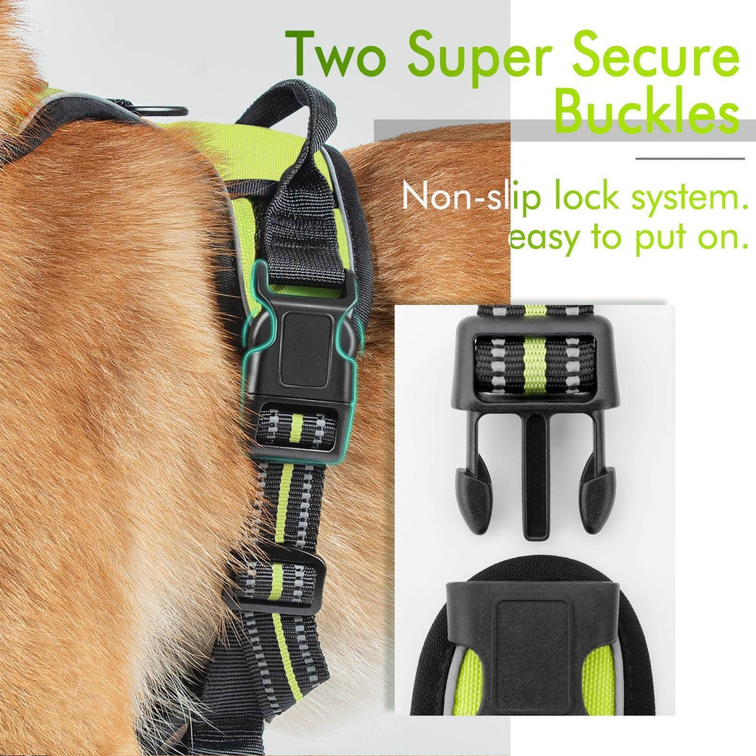 Classic Fit No Pull Dog Harness - Wild Lime