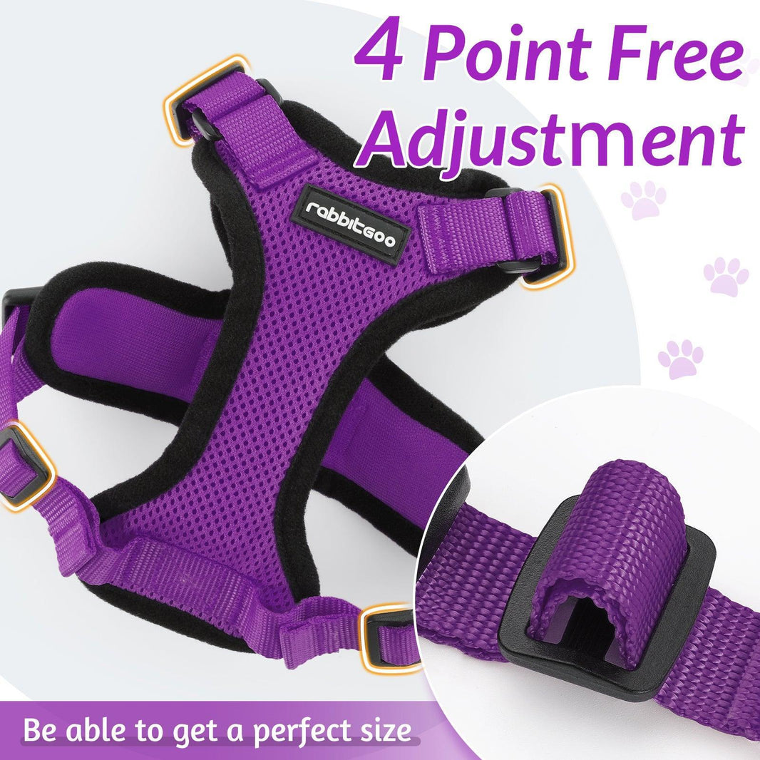 Rabbitgoo Classic Adjustable Cat Harness and Leash Set - Purple