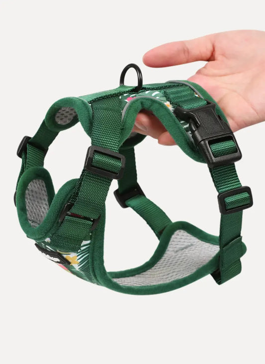 Rabbitgoo Kaleido Adjustable cat harness and leash set - Monstera Green