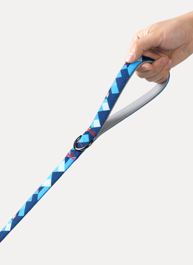 Freeline Y Series Blue Horizon Dog Leash - Blue