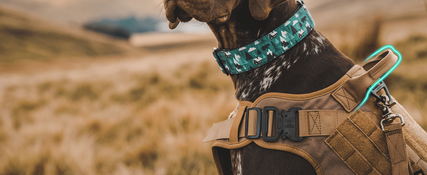 tactical dog harness large handle 
