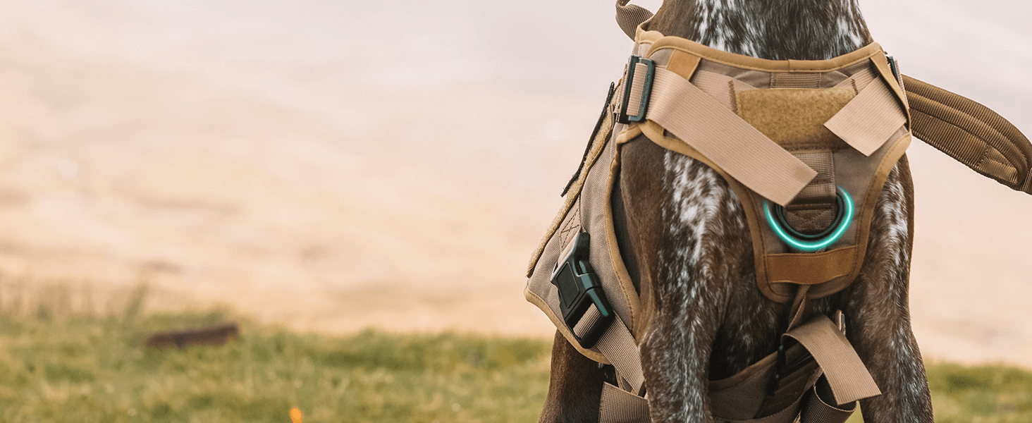 tactical dog harness front clicp