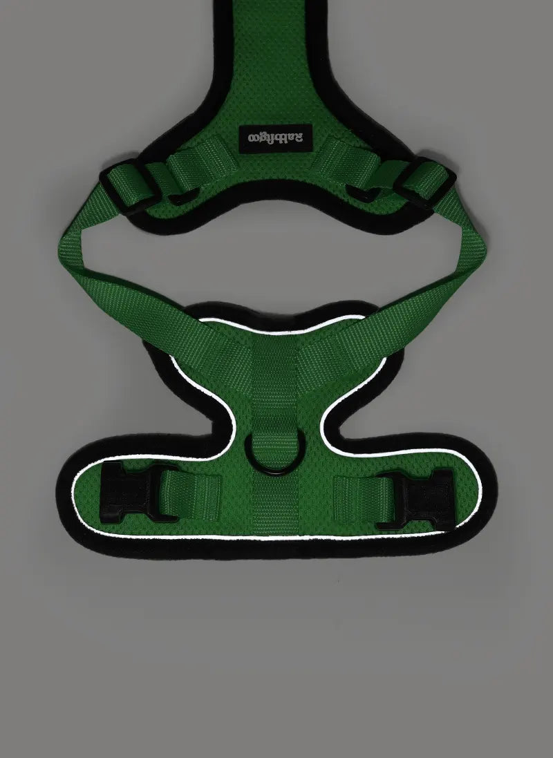 Rabbitgoo Classic Adjustable Cat Harness and Leash Set - Grass Green
