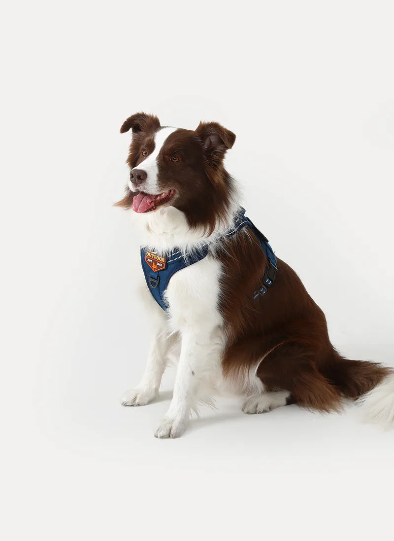 Solid Escape Proof Tactical Dog Vest Harness - Blue