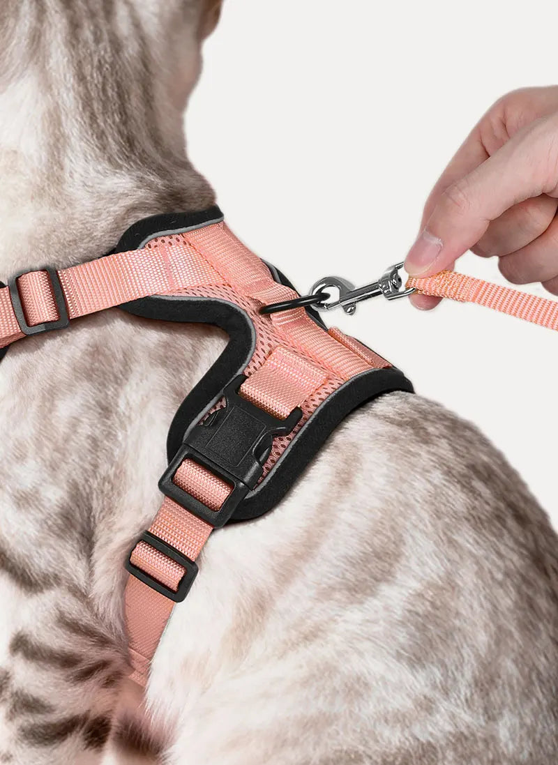Rabbitgoo Classic Adjustable Cat Harness and Leash Set - Light Salmon Pink