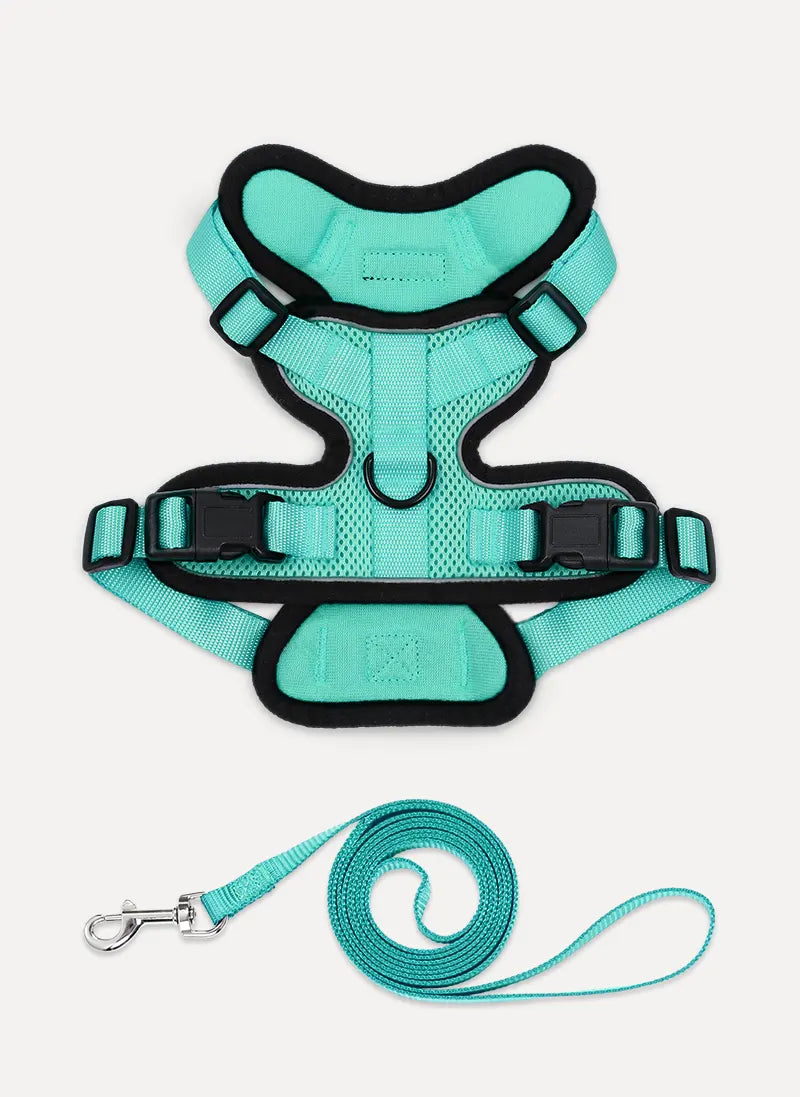 Rabbitgoo Classic Adjustable Cat Harness and Leash Set - Emerlad