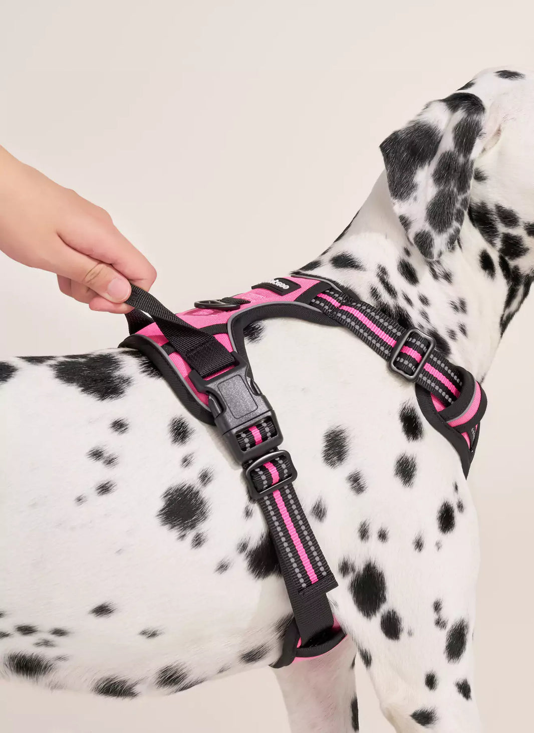 Classic Fit No Pull Dog Harness - Hot Pink