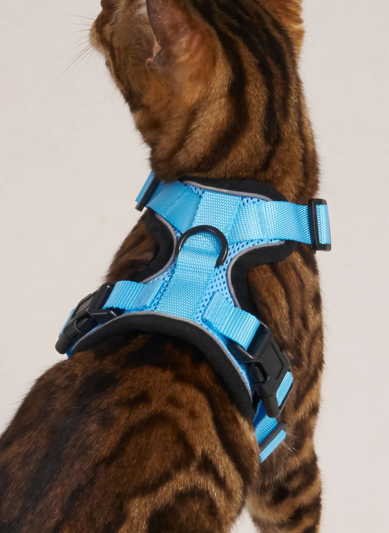 Rabbitgoo Classic Adjustable Cat Harness and Leash Set - Light Blue