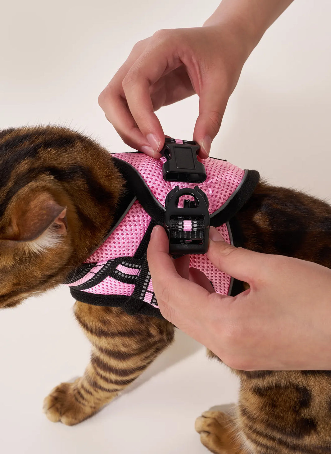Rabbitgoo Escape Proof Cat Harness and Leash Set - Pink