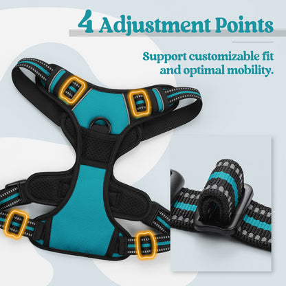 Rabbitgoo No Pull Dog Harness