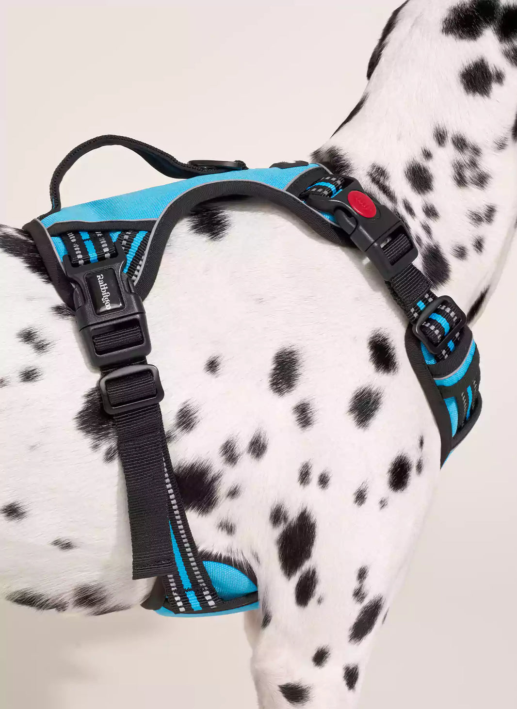 Uplift Pro Adjustable Dog Harness with Neck Buckle - Blue