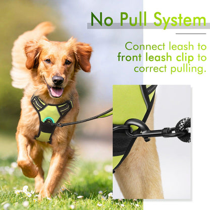 Rabbitgoo No Pull Dog Harness - Wild Lime 