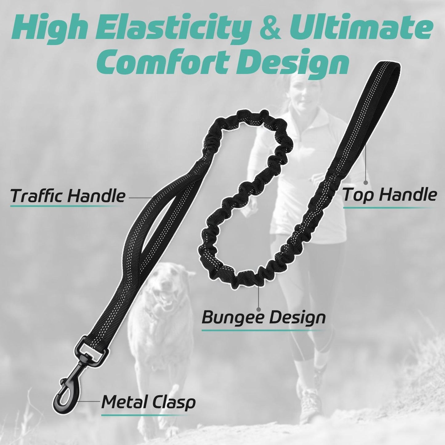 Rabbitgoo Dog Leash with 2 Padded Traffic Control Handles - Black 