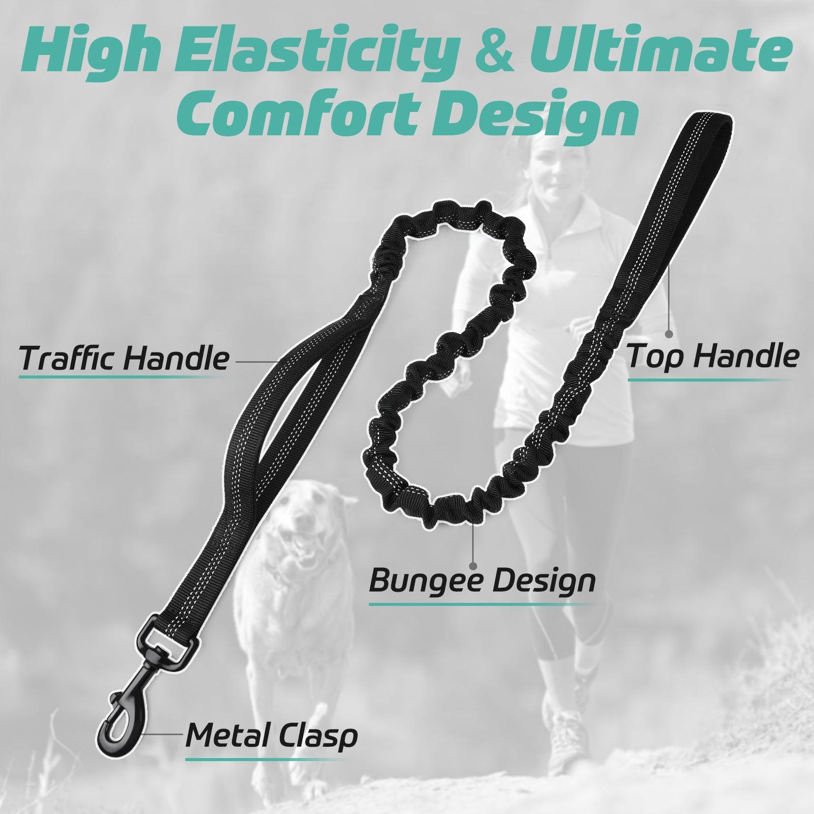 Rabbitgoo Dog Leash with 2 Padded Traffic Control Handles - Black 