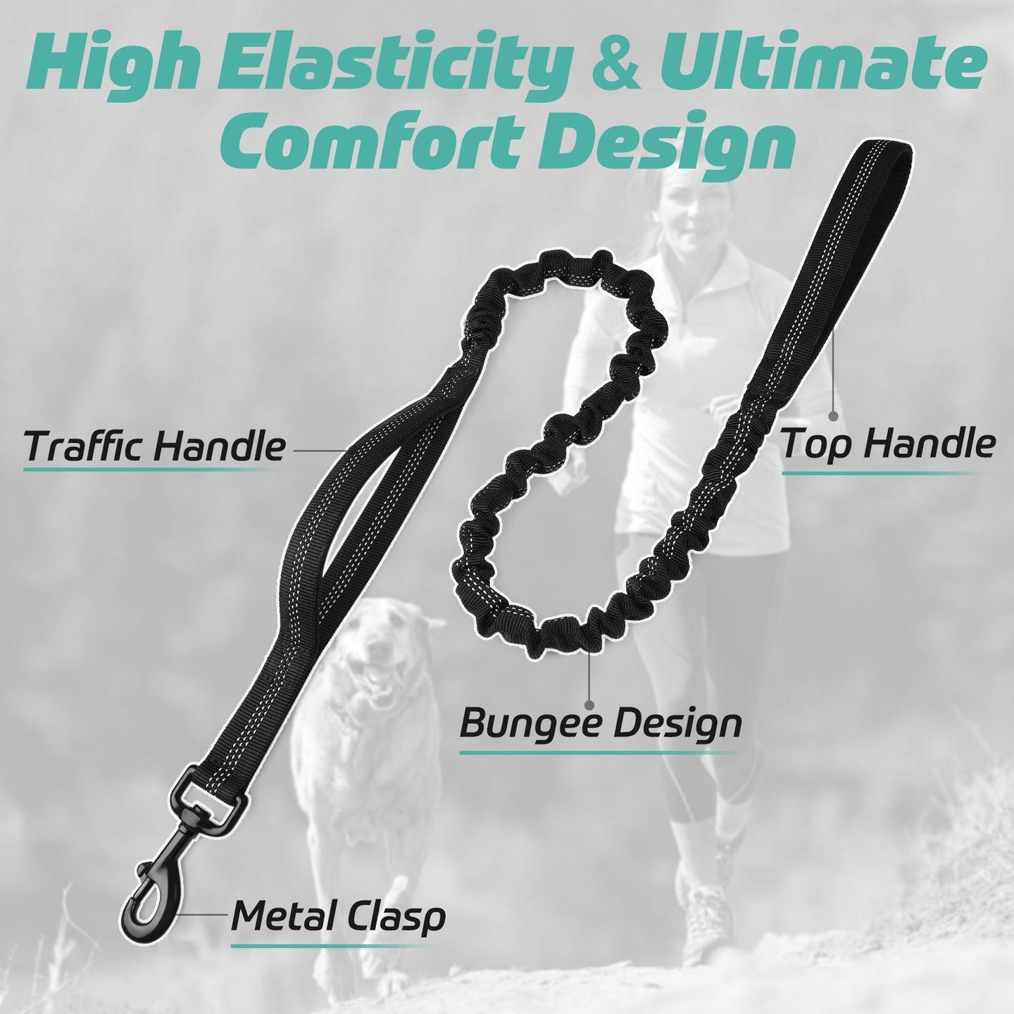 Rabbitgoo Dog Leash with 2 Padded Traffic Control Handles - Black 
