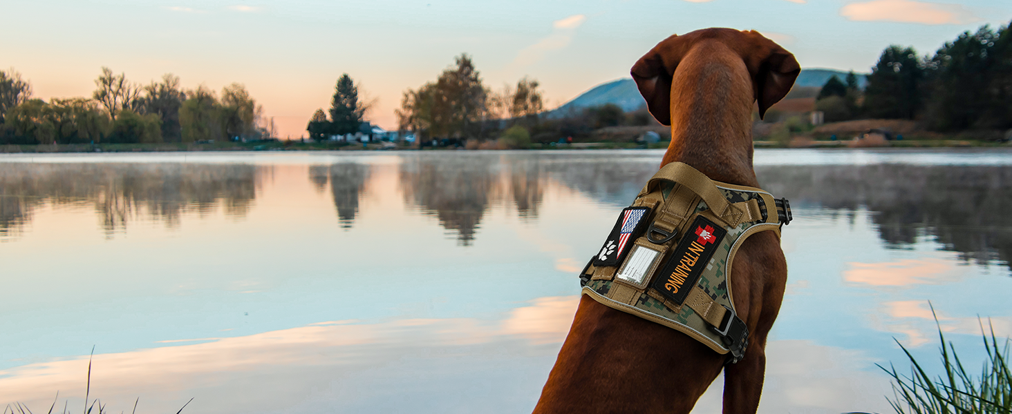 Brown camo tactical dog harnss' multiple magic tapes display