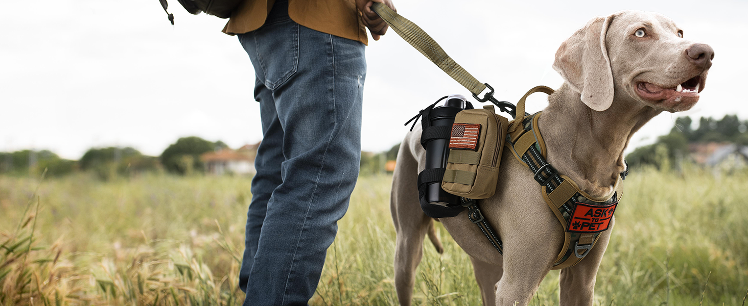 A gray dog wearing a Rabbitgoo Brown camo tactical dog harness and carrying his water cup and supply backpack as he and his owner explore the wilderness.