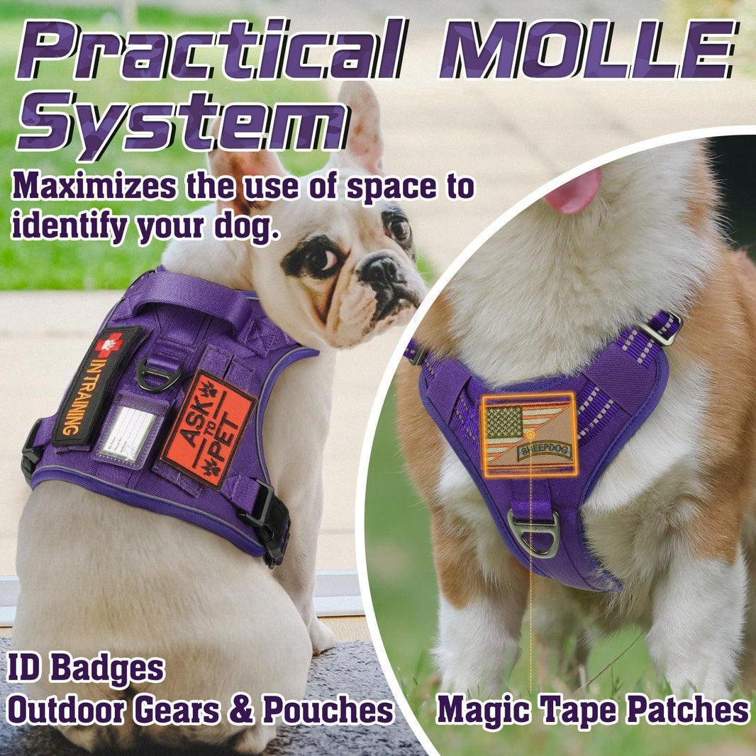 ColorPop Escape Proof Tactical Dog Harness - Purple