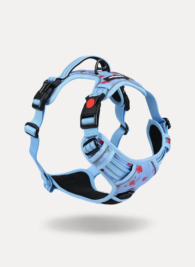 BloomWalk Easy-On No Pull Dog Harness - Floral Blue