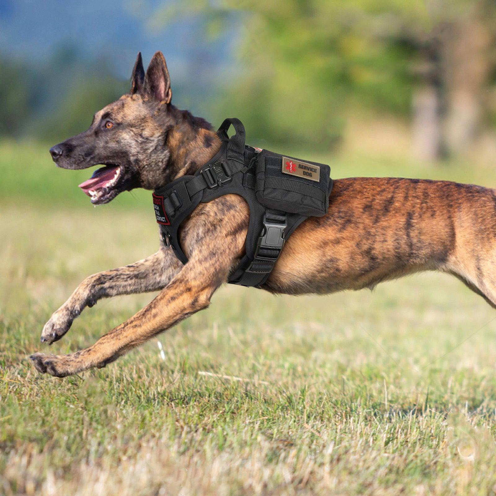 PAWTRENDER Tactical Dog Harness for Large Dogs - Black 