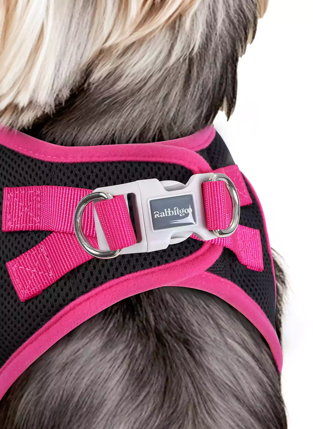 Minifit Small Dog Harness and Leash Set - Black & Rose Red