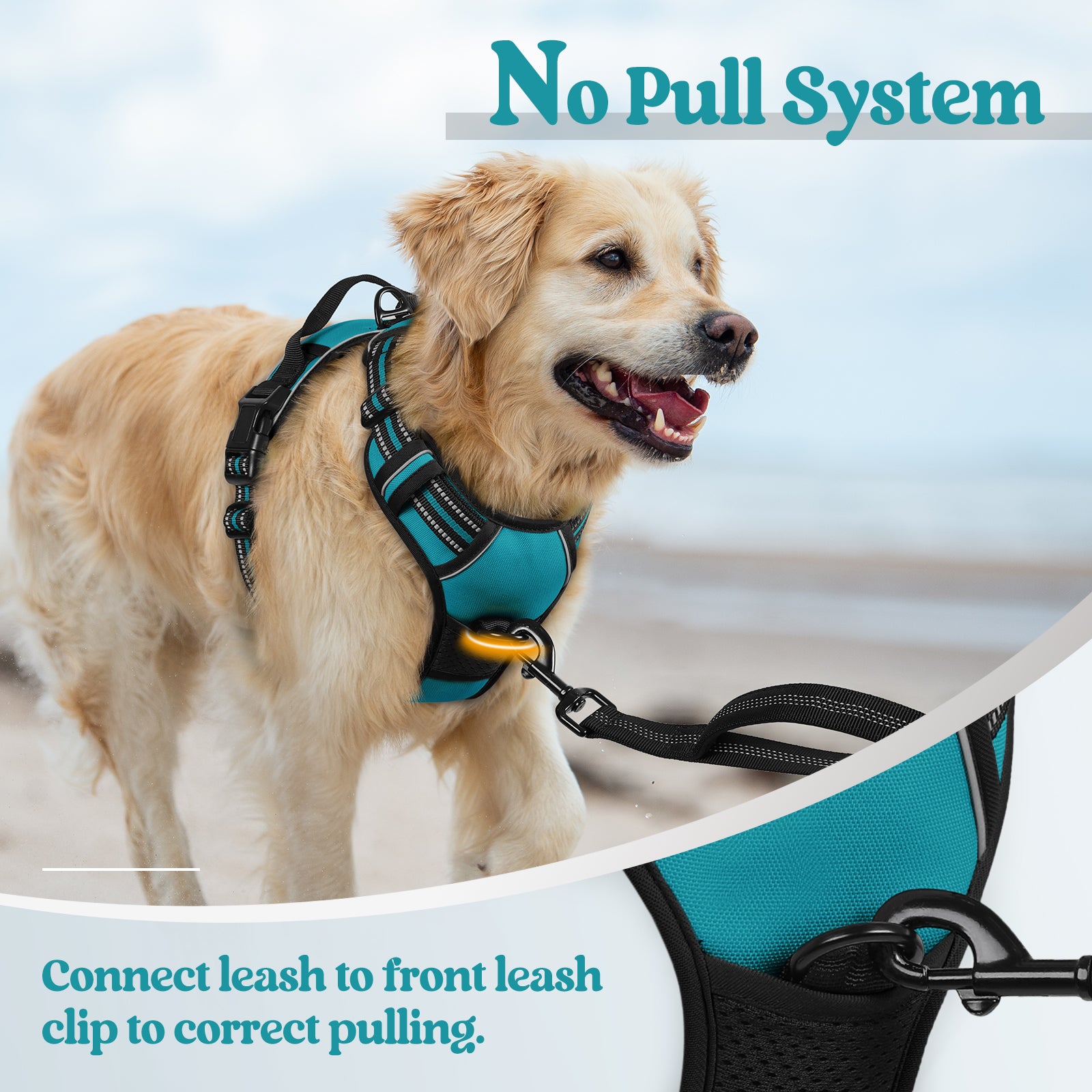 Classic Fit No Pull Dog Harness - Teal