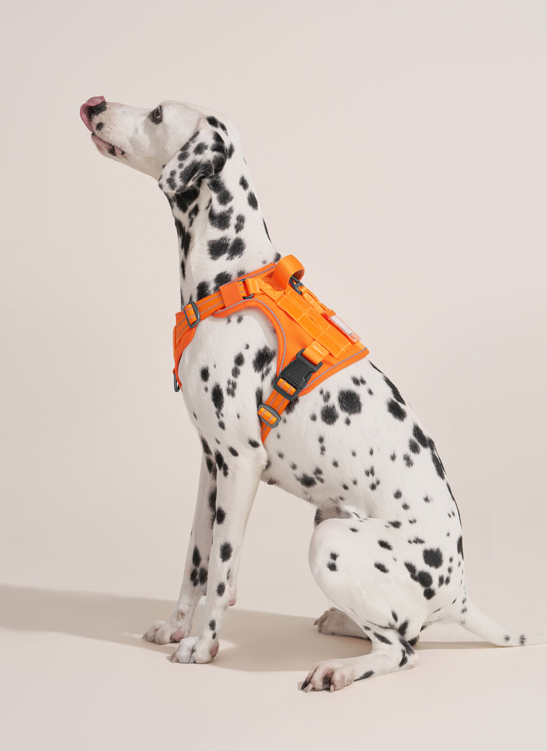ColorPop Escape Proof Tactical Dog Harness - Orange
