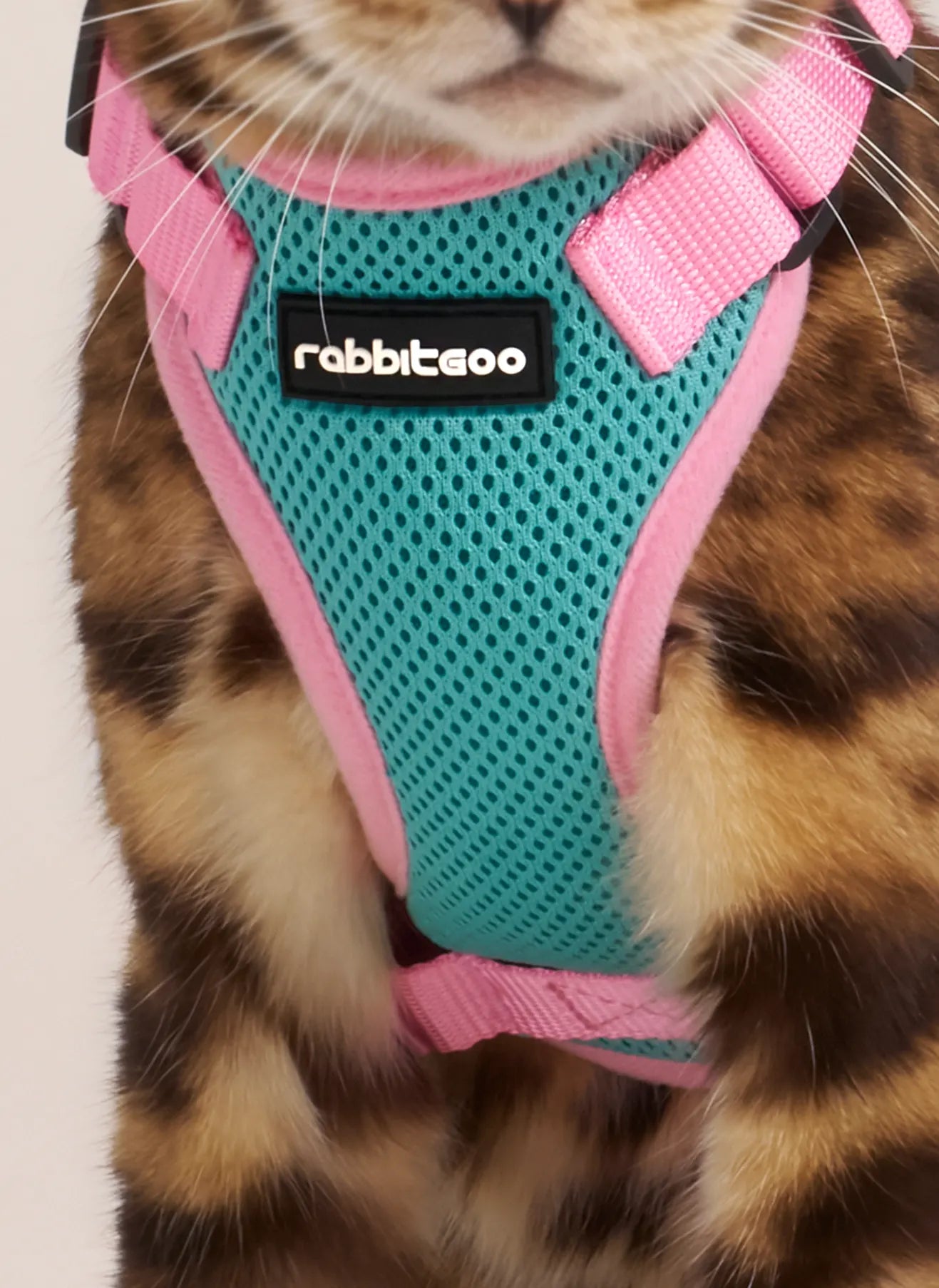 Rabbitgoo Fusion Adjustable cat harness and leash set - Green & Pink 