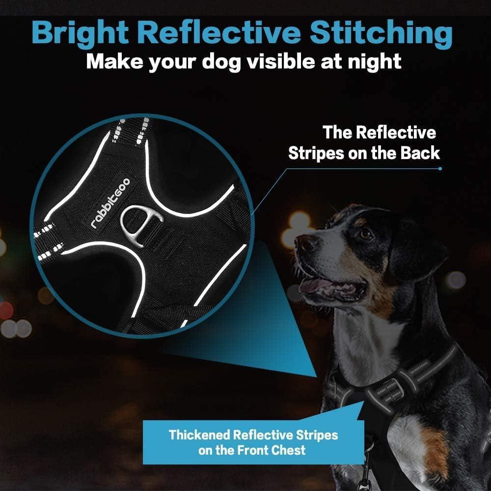 No Pull Dog Harness and Leash Set - Black / M