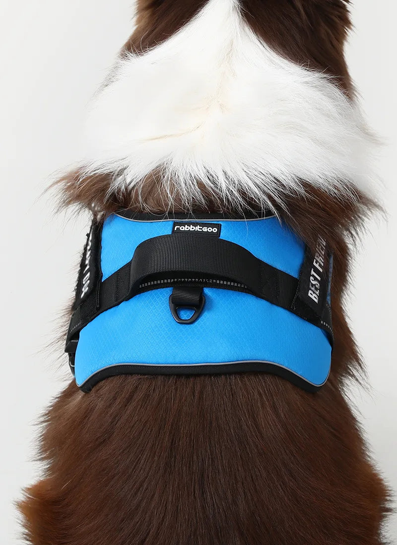 Easy Walk Dog Harness with One Easy-Fit Buckle - Blue