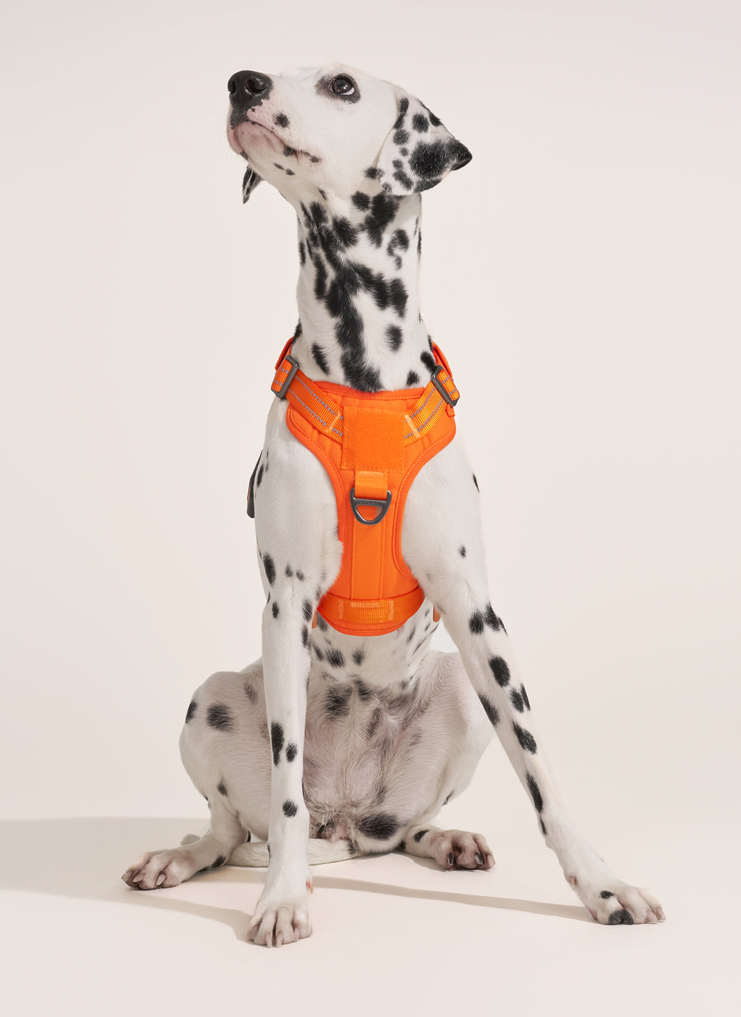 ColorPop Escape Proof Tactical Dog Harness - Orange