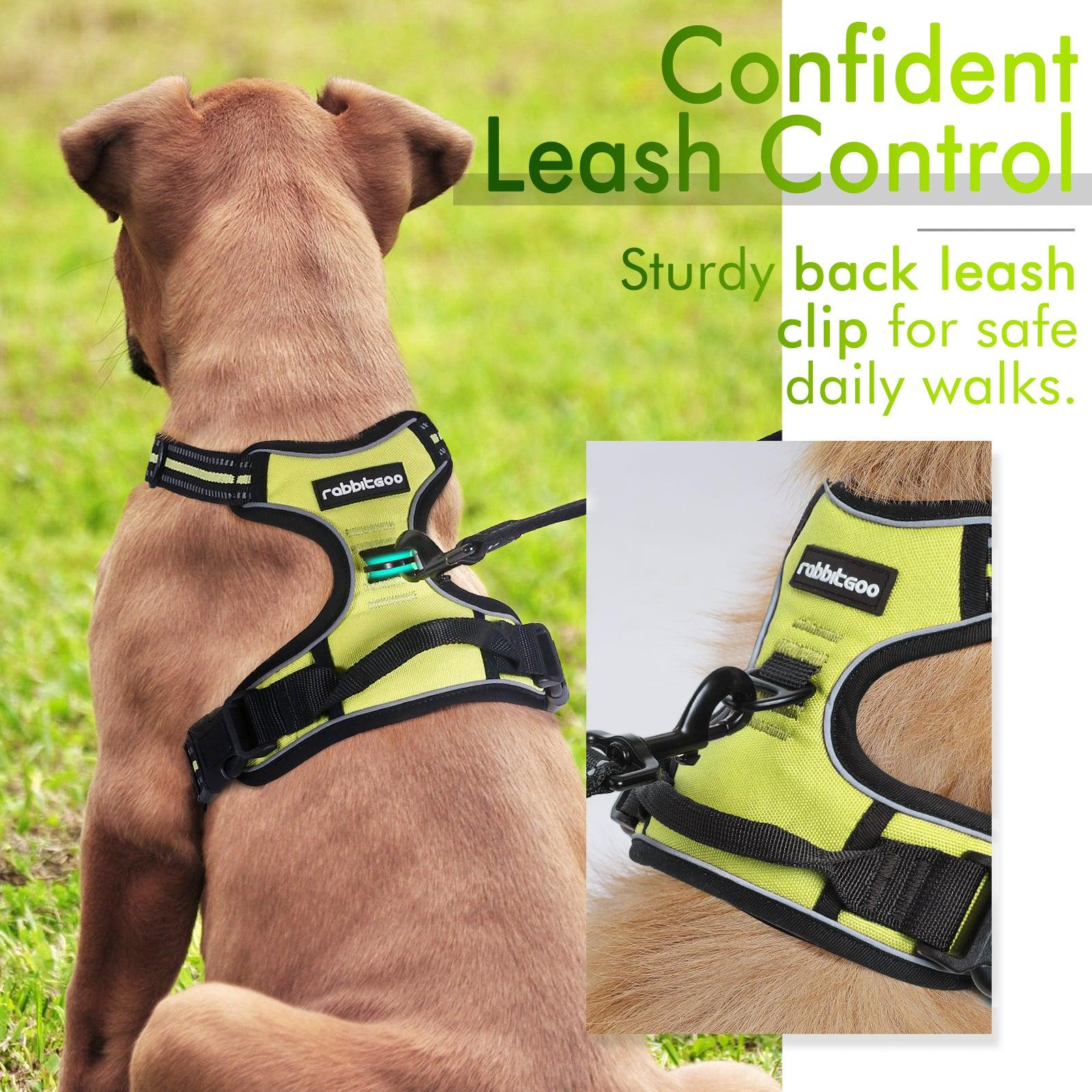 Rabbitgoo No Pull Dog Harness - Wild Lime 