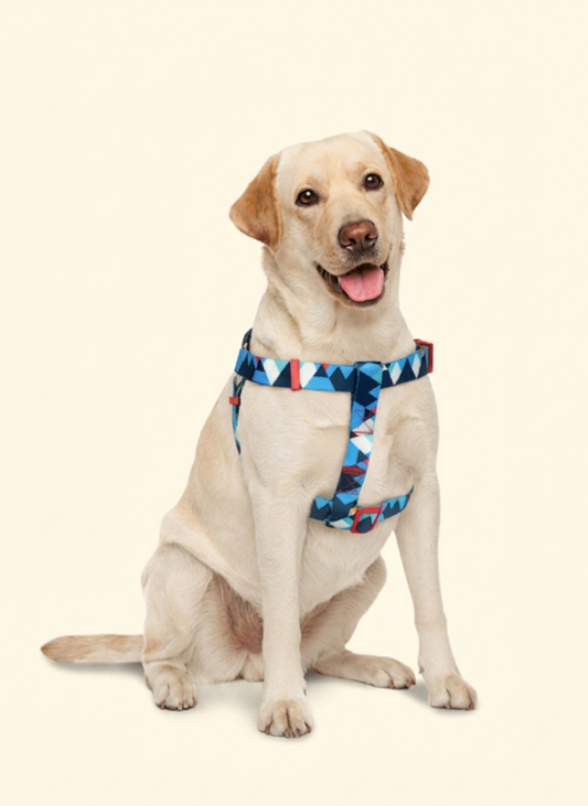 Freeline Y Series Blue Horizon Dog Harness