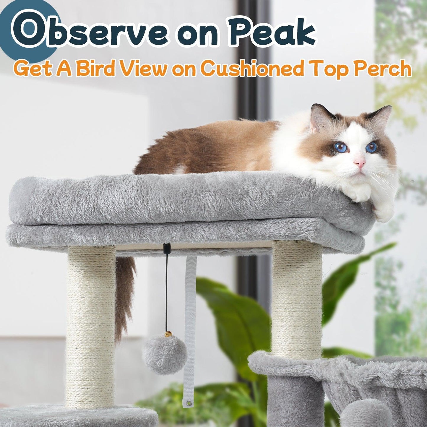 Rabbitgoo 33" Cat Tree for Indoor Kittens - Light Grey