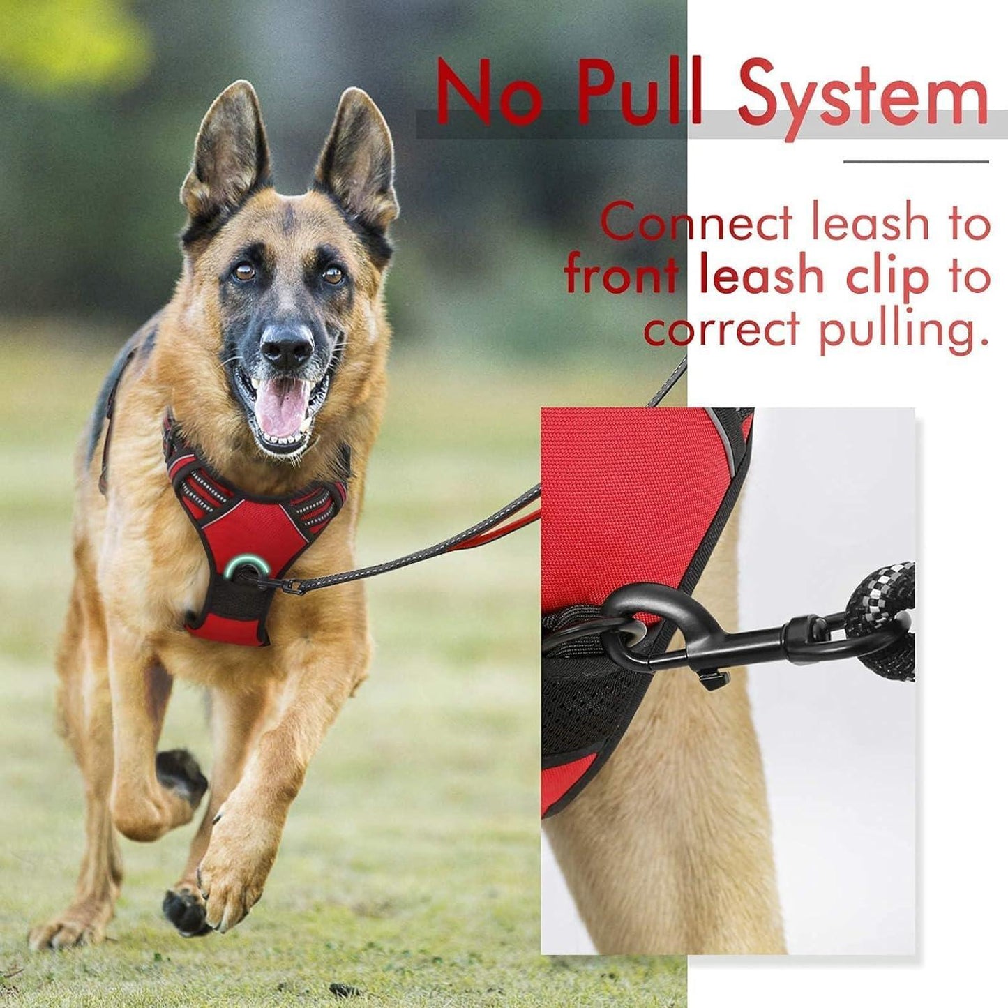 Rabbitgoo No Pull Dog Harness - Red 