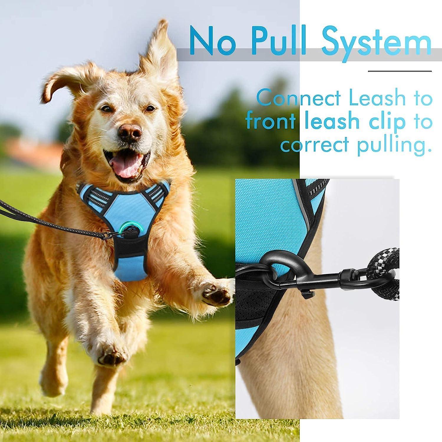 Rabbitgoo No Pull Dog Harness - Blue 