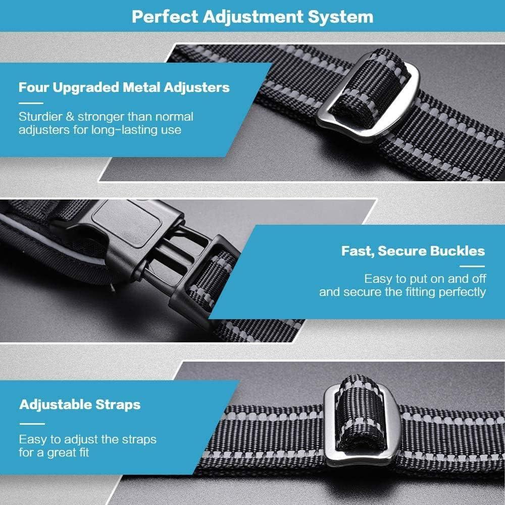 No Pull Dog Harness and Leash Set - Black / L