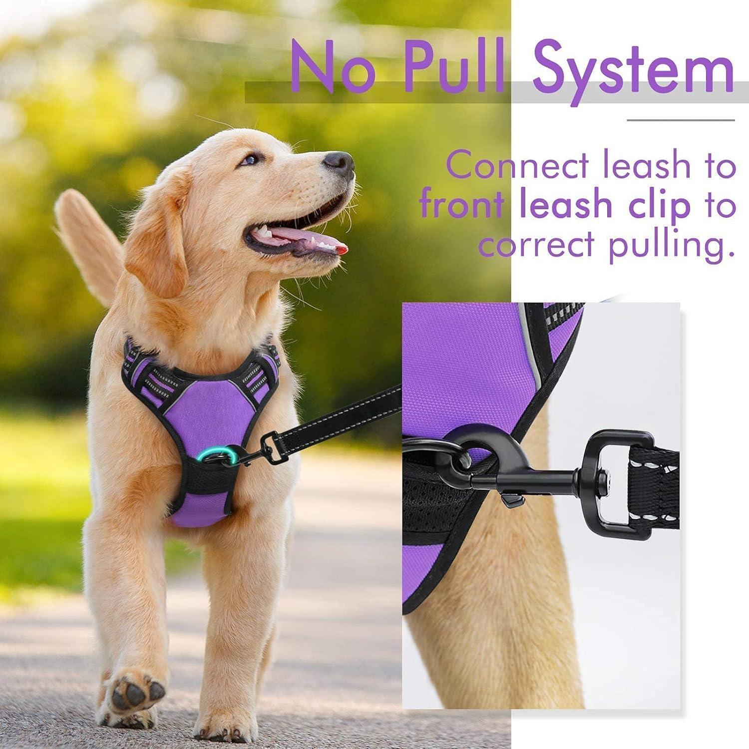 Rabbitgoo No Pull Dog Harness - Purple 