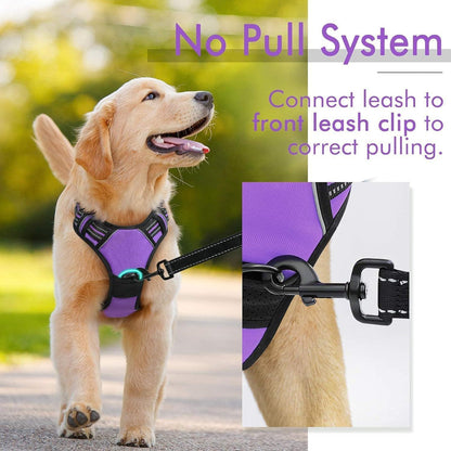 Rabbitgoo No Pull Dog Harness - Purple 