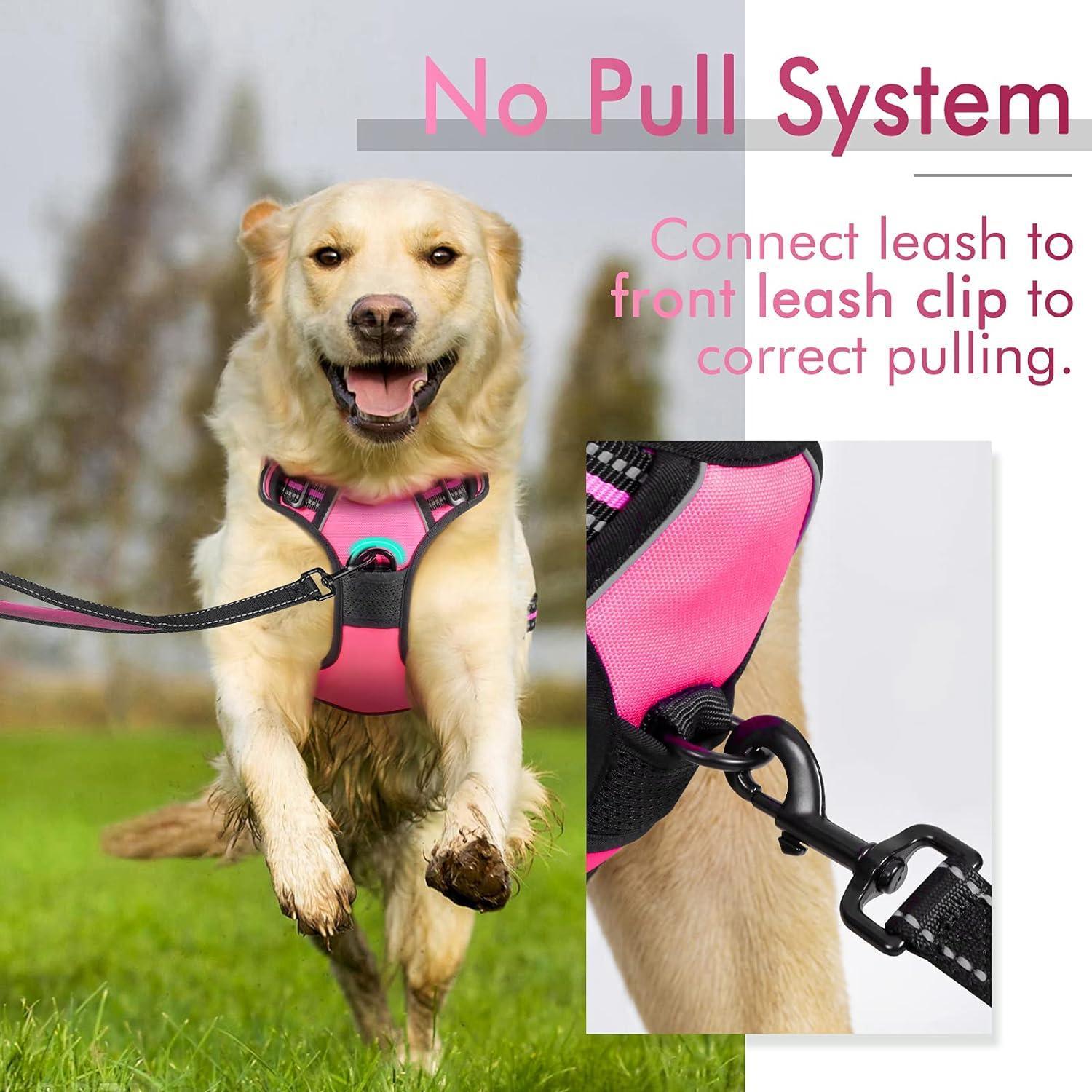 Rabbitgoo No Pull Dog Harness - Hot Pink 