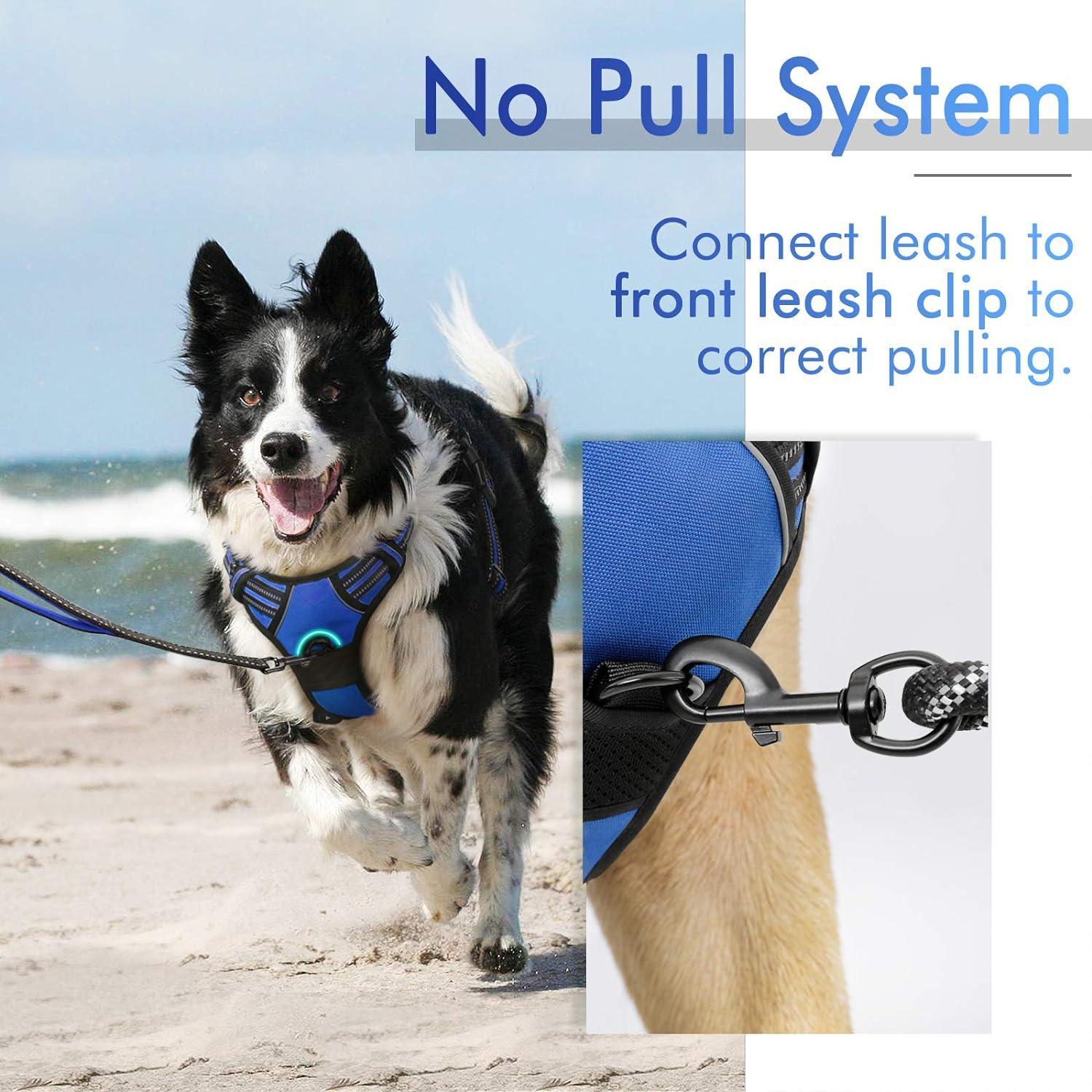 Rabbitgoo No Pull Dog Harness - Dazzling Blue 