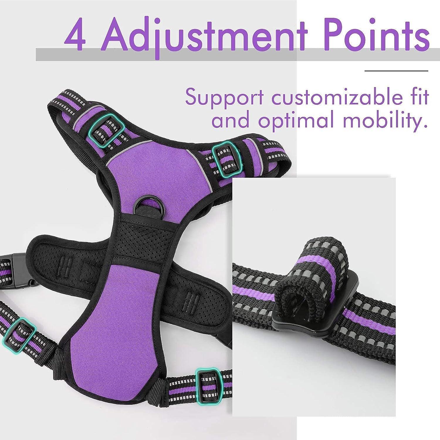Rabbitgoo No Pull Dog Harness - Purple 