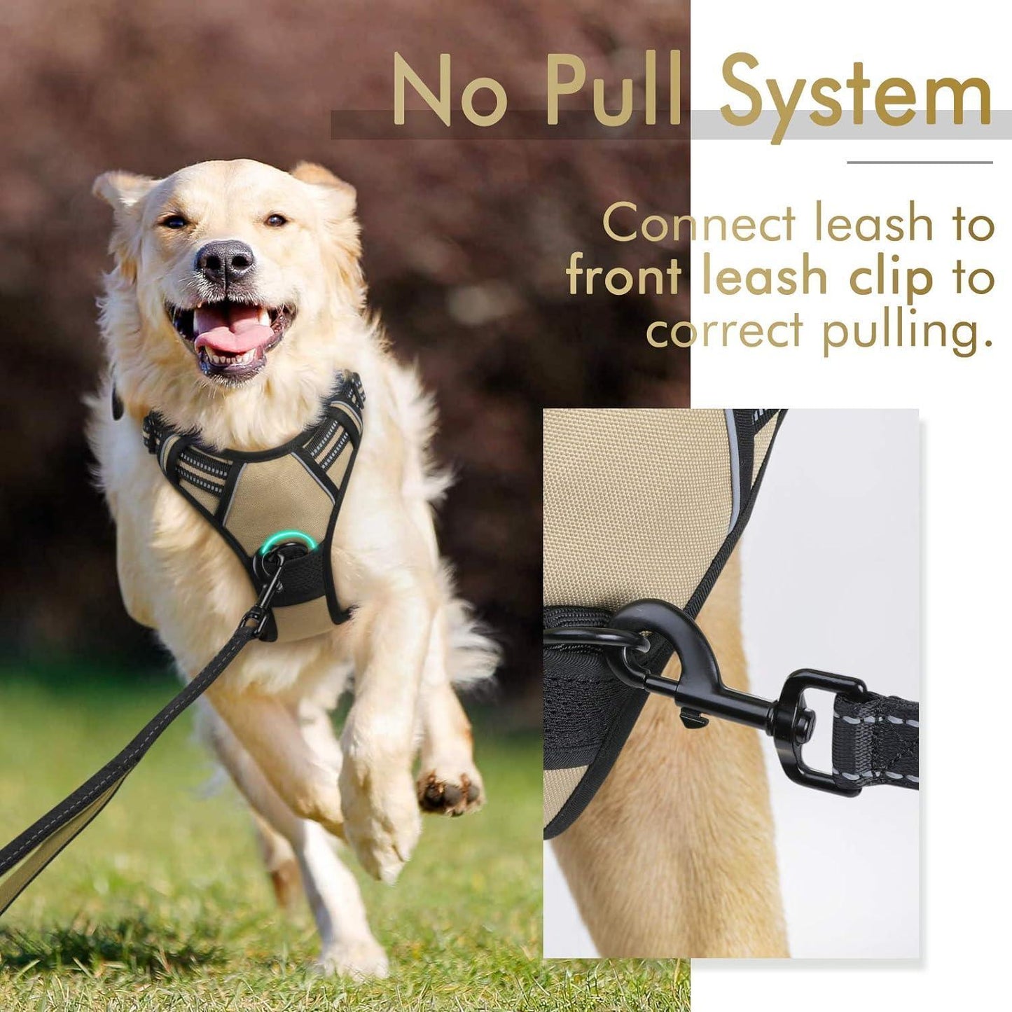 Rabbitgoo No Pull Dog Harness - Beige 