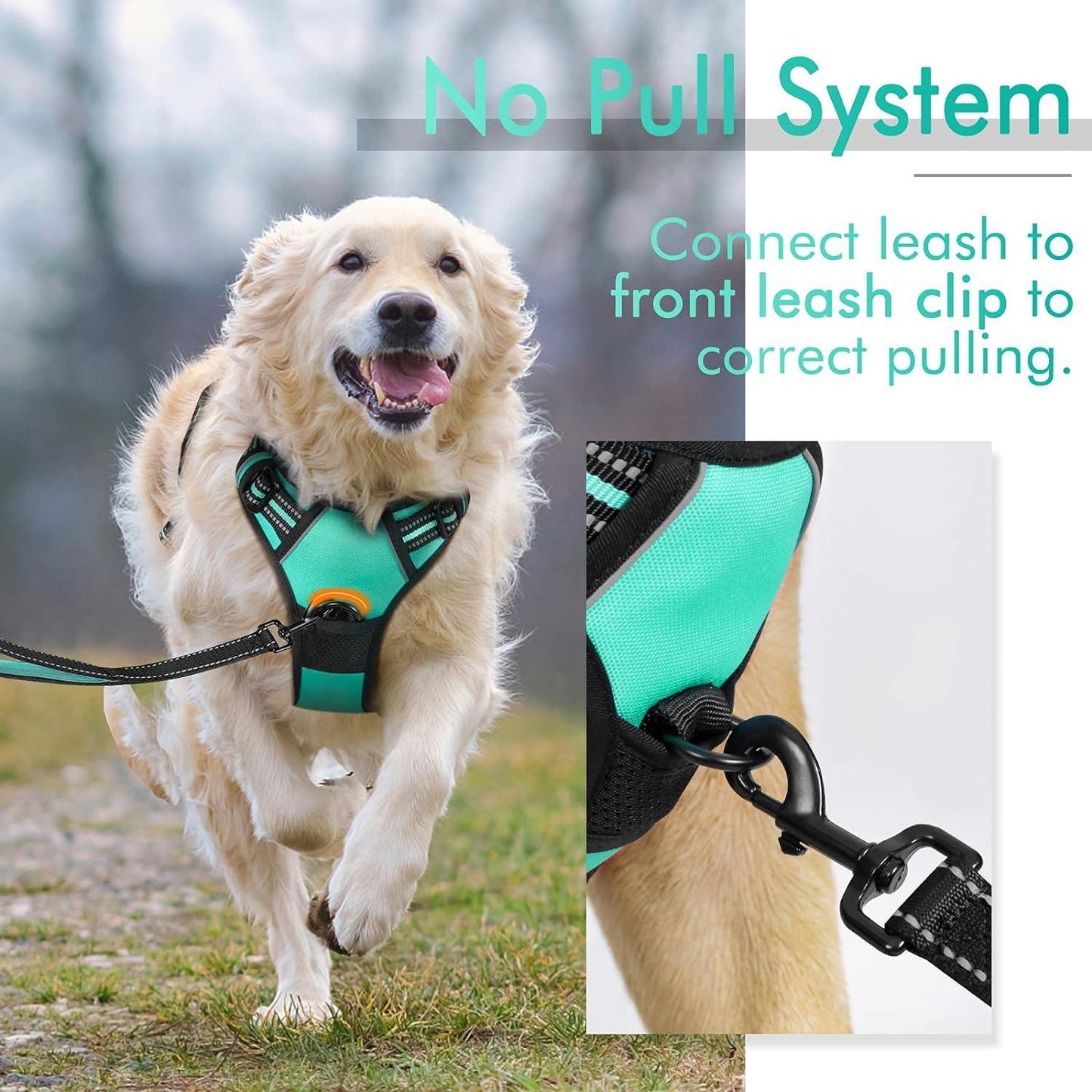 Rabbitgoo No Pull Dog Harness - Turquoise 