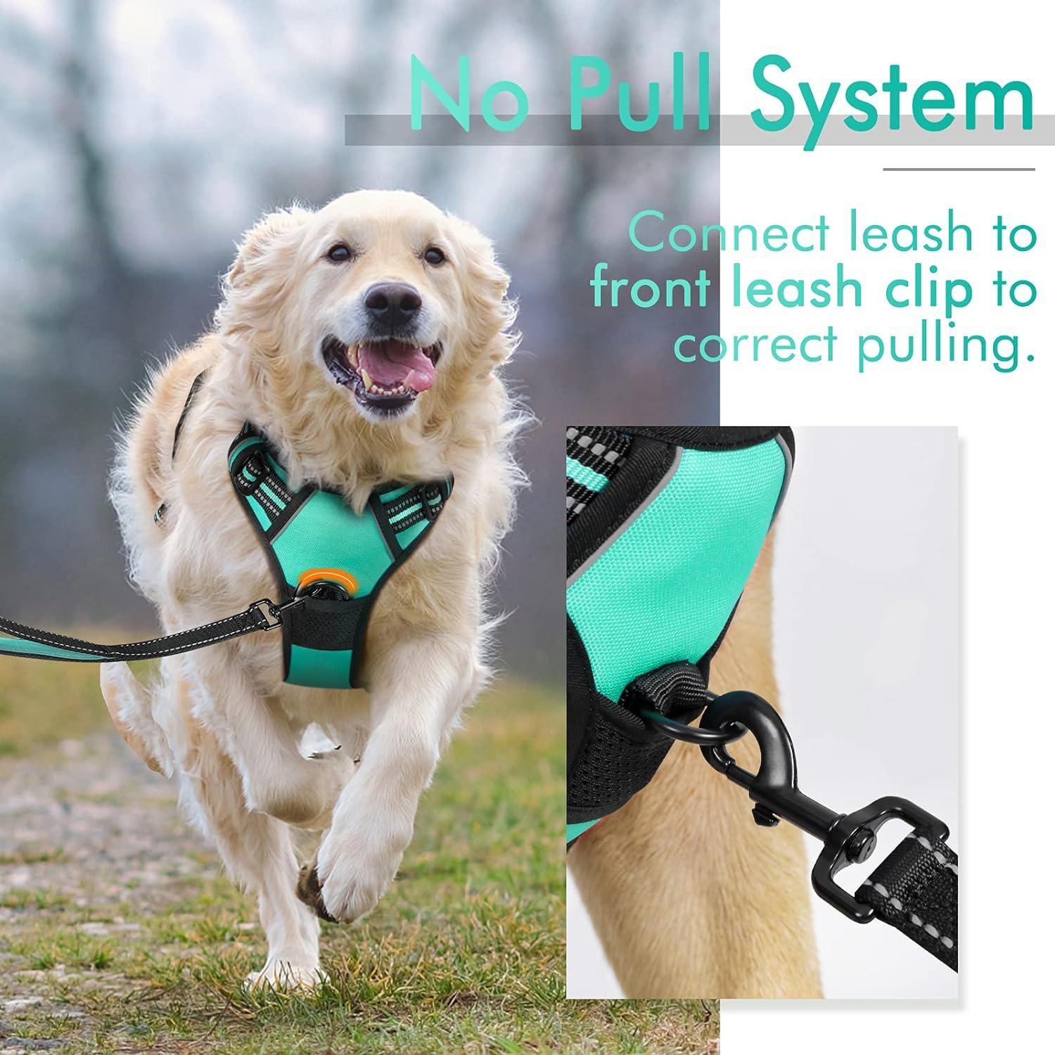 Rabbitgoo No Pull Dog Harness - Turquoise 