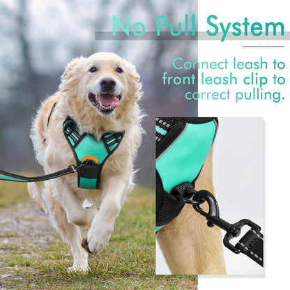 Rabbitgoo No Pull Dog Harness - Turquoise 